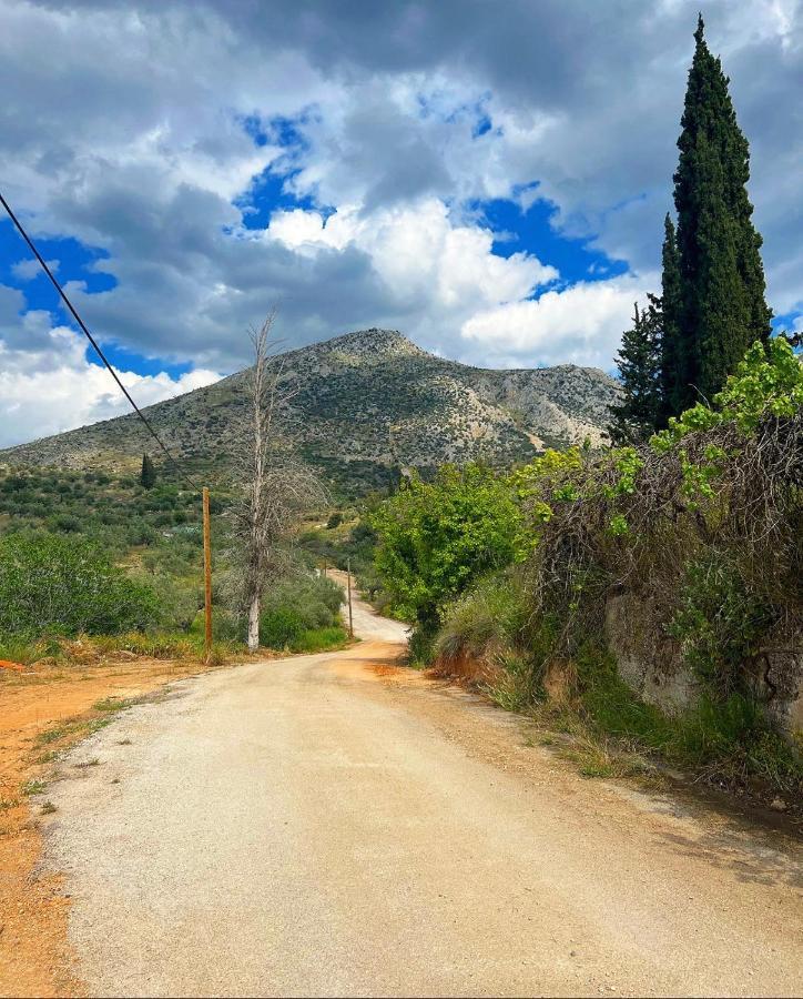 Sunny House At Ancient Mycenae, Close To Nafplio! Mykines Exterior photo